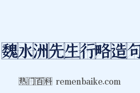 魏水洲先生行略造句是什么意思的图片